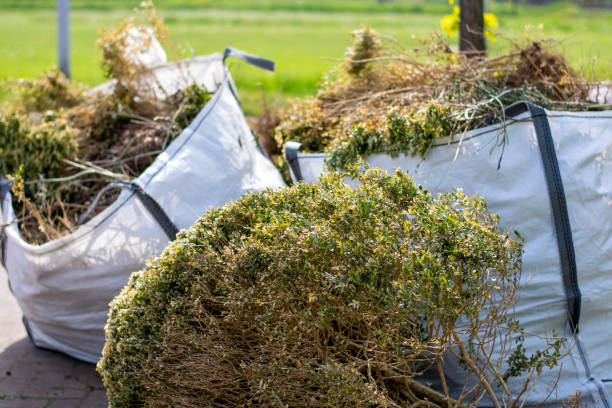  , MS Junk Removal Services Pros